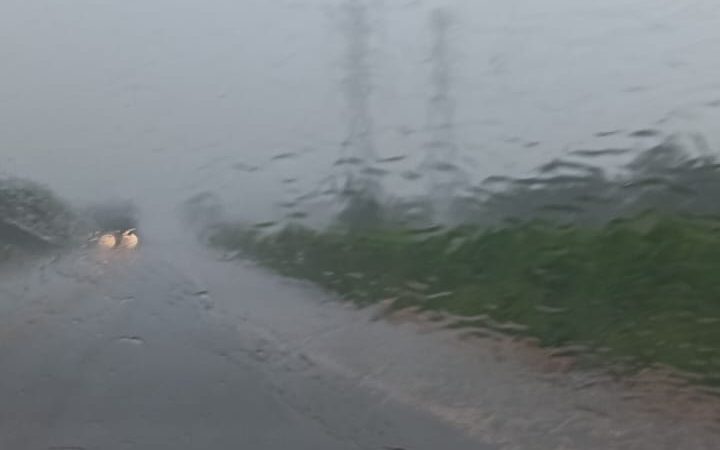 Durante forte chuva veículos sofre aquaplanagem sai da pista e bate contra árvore na BR-262