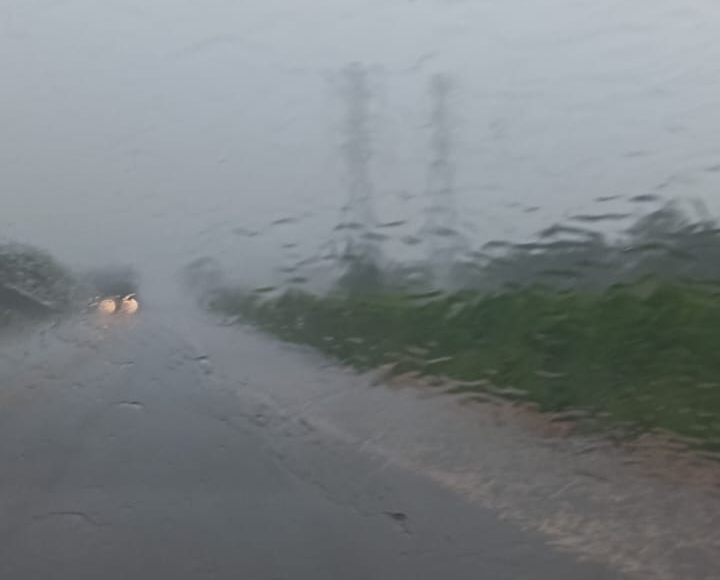 Durante forte chuva veículos sofre aquaplanagem sai da pista e bate contra árvore na BR-262