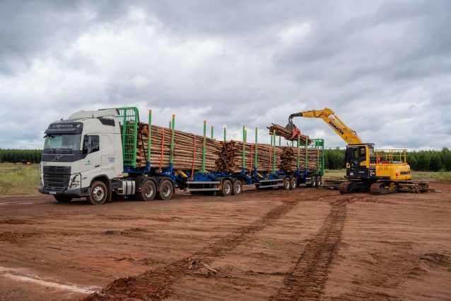 Suzano inova no setor de logística florestal com primeiro módulo próprio de operação de tritrens em Três Lagoas (MS)