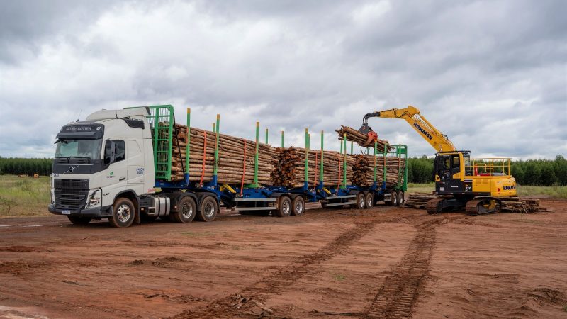 Suzano inova no setor de logística florestal com primeiro módulo próprio de operação de tritrens em Três Lagoas (MS)