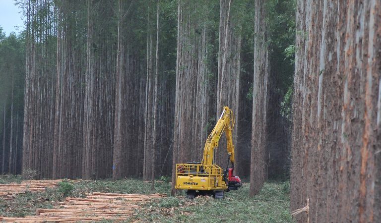 1º no ranking: crescimento econômico de Mato Grosso do Sul ganha destaque nacional