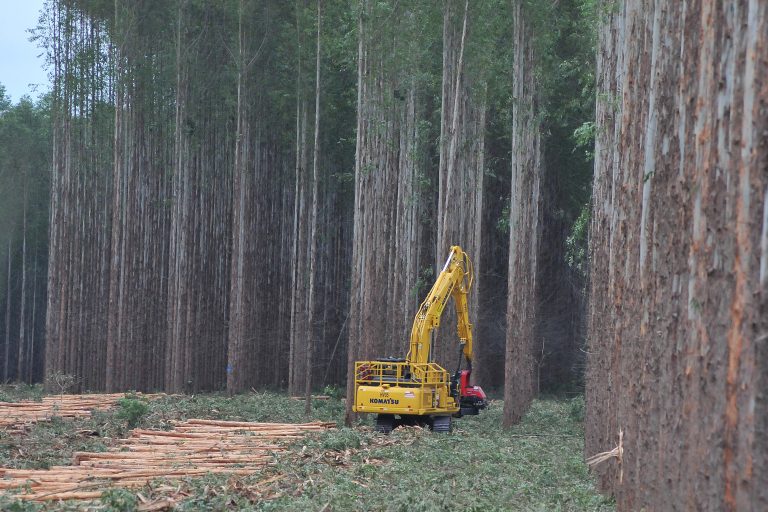 1º no ranking: crescimento econômico de Mato Grosso do Sul ganha destaque nacional