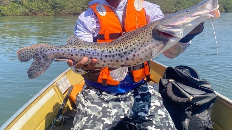 Pescadores na contagem regressiva para a abertura da pesca neste sábado em MS