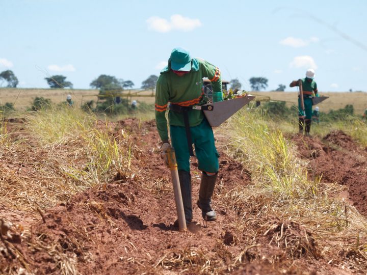 Eldorado Brasil está com mais de 50 vagas de emprego abertas para ajudante florestal em Selvíria e Inocência