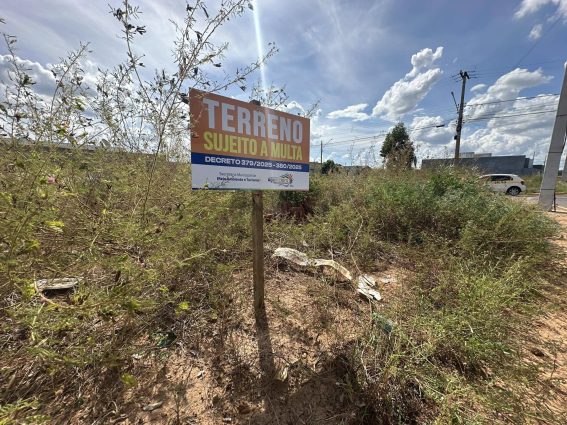 Proprietários de lotes sujos que receberem placas “Terreno Sujeito a Multa” terão 5 dias para regularizar a situação      