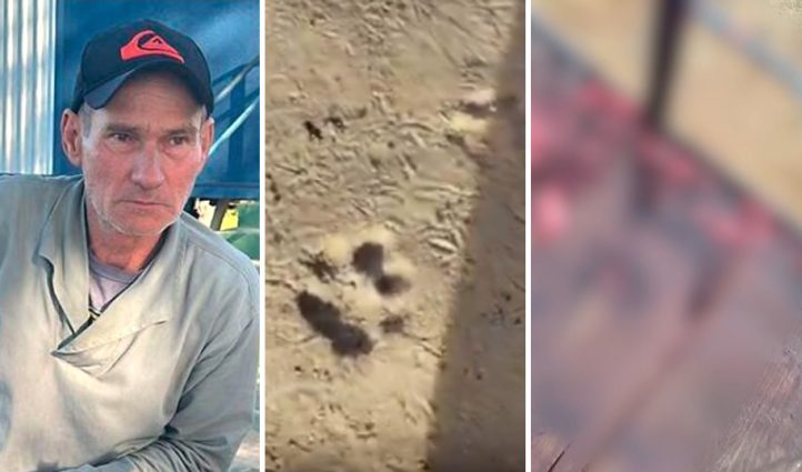Polícia Ambiental busca corpo de homem morto em ataque de onça no Pantanal