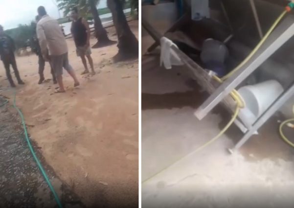 Onça-pintada que matou caseiro no Pantanal retorna ao local do ataque e causa destruição