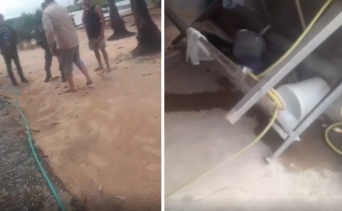 Onça-pintada que matou caseiro no Pantanal retorna ao local do ataque e causa destruição