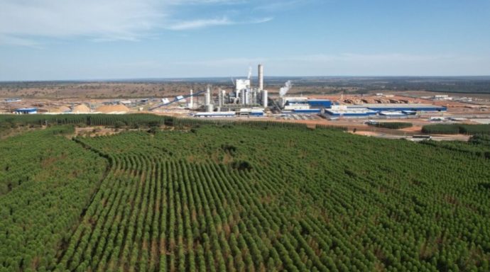 Assembleia Legislativa aprova a criação oficial do “Vale da Celulose” em Mato Grosso do Sul
