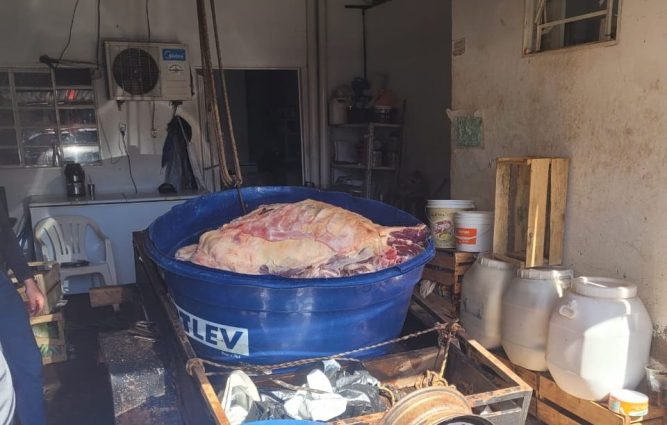 Quase duas toneladas de carne imprópria para consumo e apreendida em pela Polícia Civil e Iagro, em Selvíria