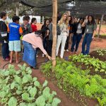 Projeto “Crescer e Colher” incentiva agroecologia e educação ambiental em escola municipal de Água Clara