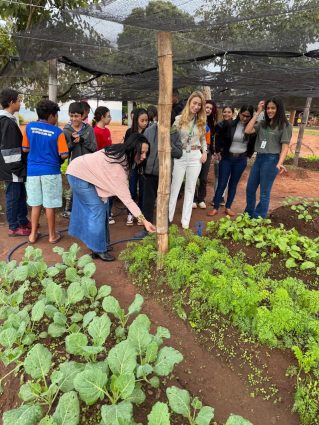 Projeto “Crescer e Colher” incentiva agroecologia e educação ambiental em escola municipal de Água Clara