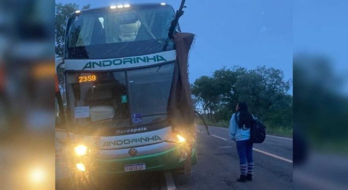 Acidente entre ônibus e caminhão na BR-262 deixa dois m0rtos e criança gravemente ferida na manhã deste domingo
