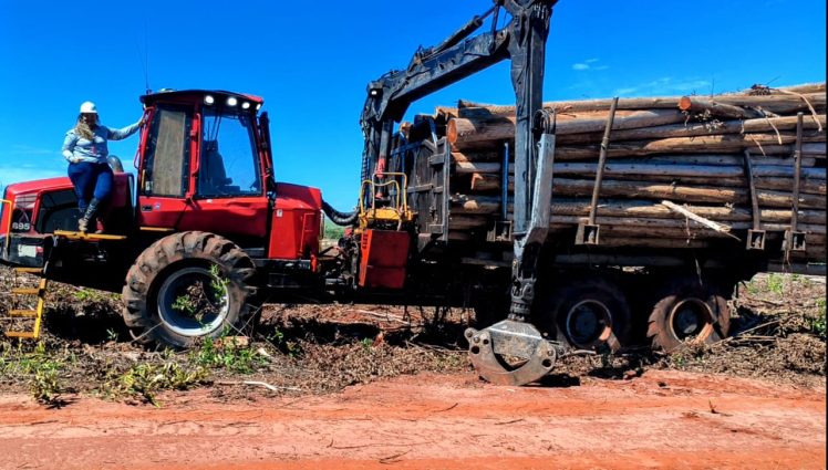 Formações promocionais pela Suzano geram oportunidades para mulheres no setor florestal em Ribas do Rio Pardo (MS)