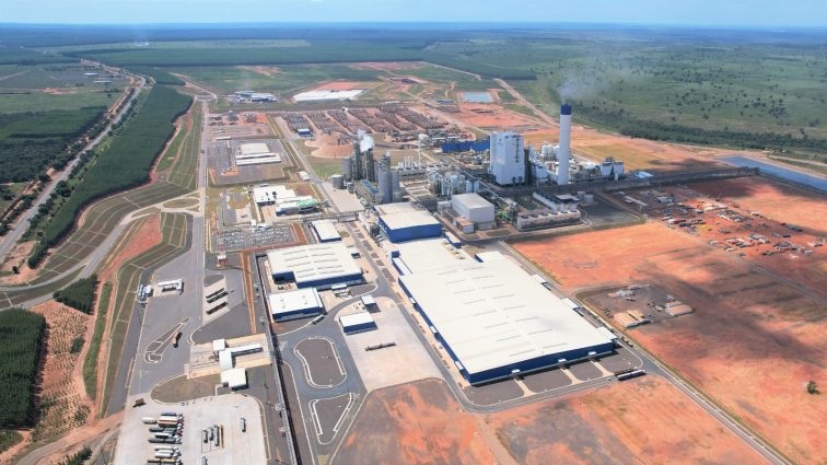 Com mais de R$ 300 milhões investidos no desenvolvimento de Ribas do Rio Pardo (MS), Suzano completa um ano de operações na cidade