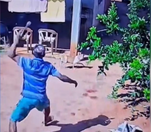 Criminoso invade residência e agride cães em Três Lagoas