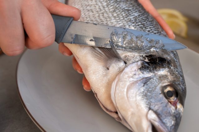 Em Três Lagoas, mulher morre engasgada com espinha de peixe, que perfurou seu esôfago