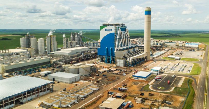 Bracell estuda instalar  fábrica de celulose em Água Clara, confirma site voltado para o setor