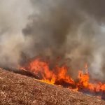 Incêndios atingem fazenda em Três Lagoas e margens da BR-262 em Água Clara
