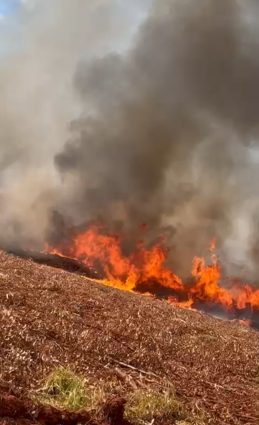 Incêndios atingem fazenda em Três Lagoas e margens da BR-262 em Água Clara