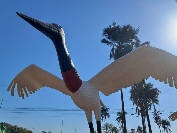 126 anos de Campo Grande: a cidade que inspira a arte de Cleir
